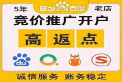 行业领先的SEM投放效果案例解析